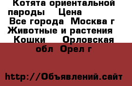 Котята ориентальной пароды  › Цена ­ 12 000 - Все города, Москва г. Животные и растения » Кошки   . Орловская обл.,Орел г.